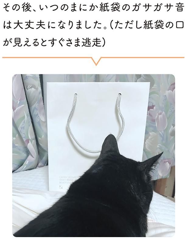 その後、いつのまにか紙袋のガサガサ音は大丈夫になりました （C）AKR／KADOKAWA