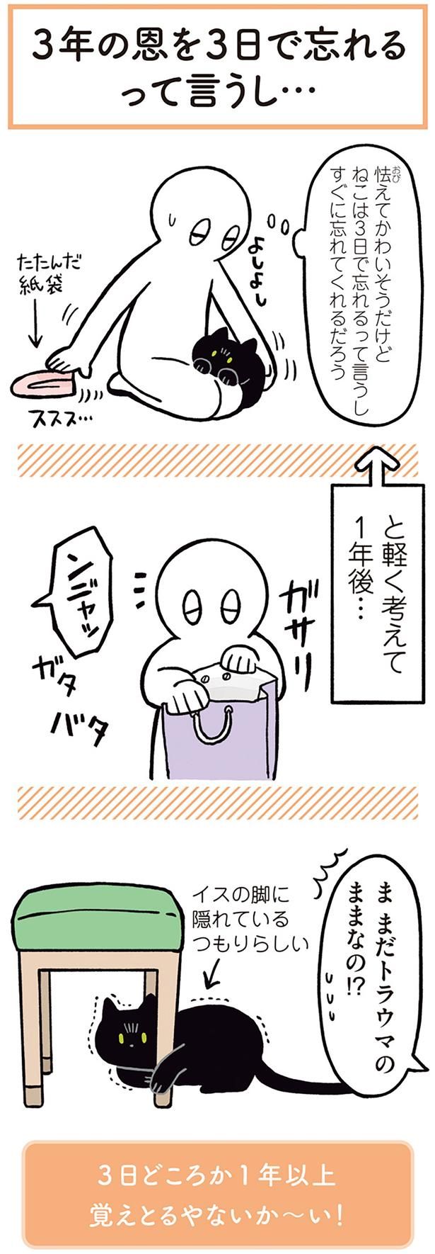 ま まだトラウマのままなの！？ （C）AKR／KADOKAWA