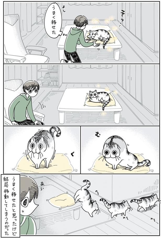 うまく移せたと思ったけど （C）キュルZ／KADOKAWA