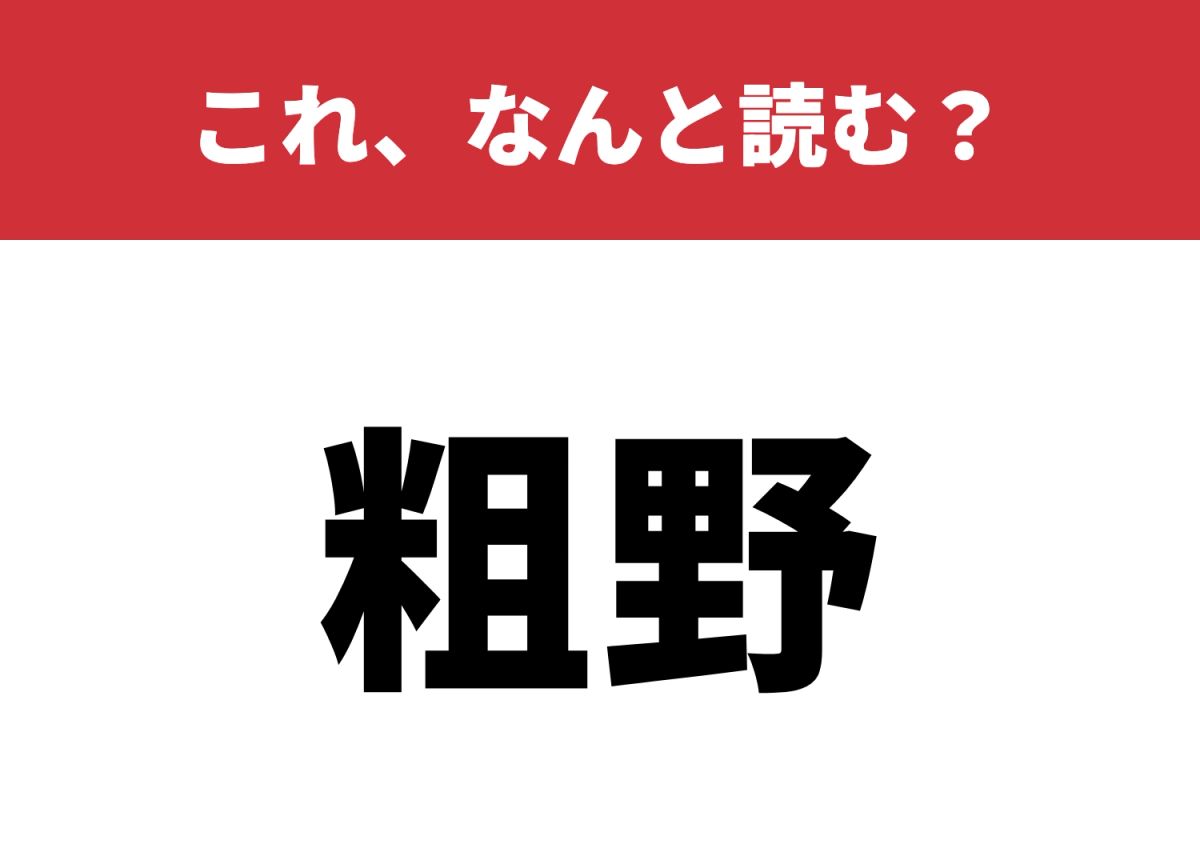 粗野 と は