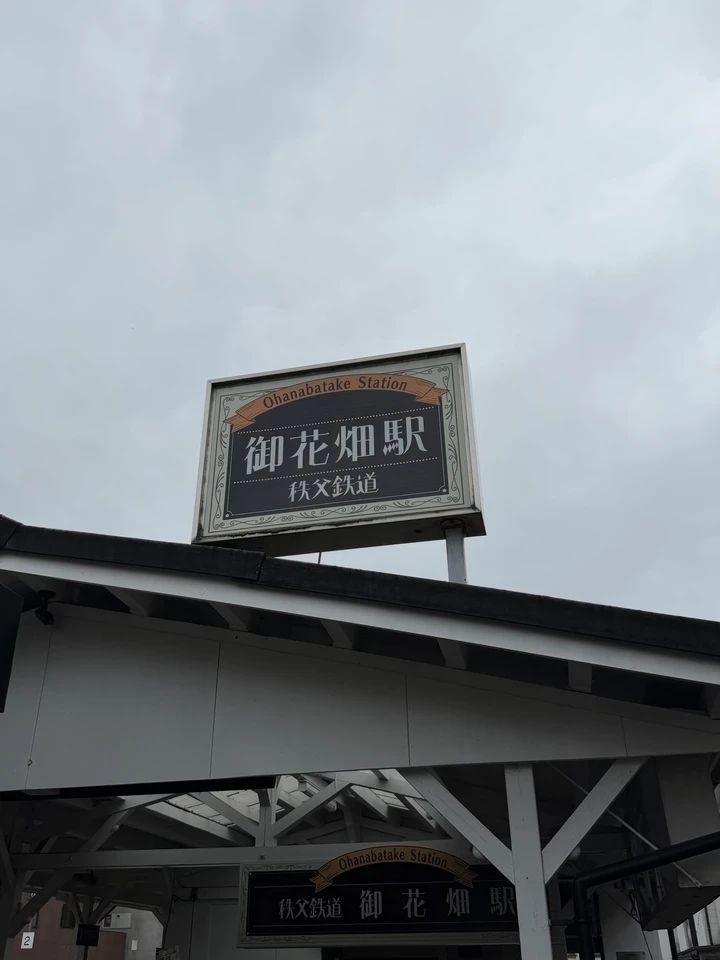 【秩父日帰り旅】特急ラビューで行く！かき氷、川辺、食べ歩きまで満喫_11