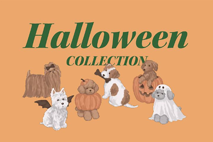 愛犬や愛猫と一緒に仮装を楽しめるハロウィン限定ペット用グッズ（画像はイメージです）
