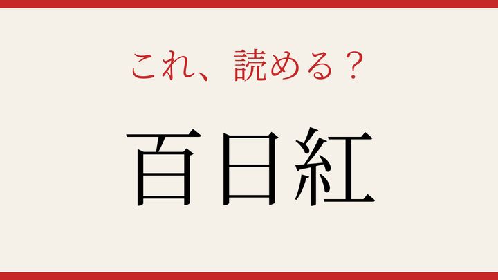 【難読漢字】何と読むか分かる？夏の庭を彩る花の問題画像