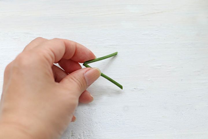 余りの茎を折る