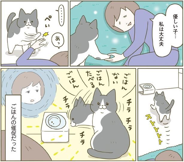 ごはんの催促だった （C）卵山玉子／KADOKAWA