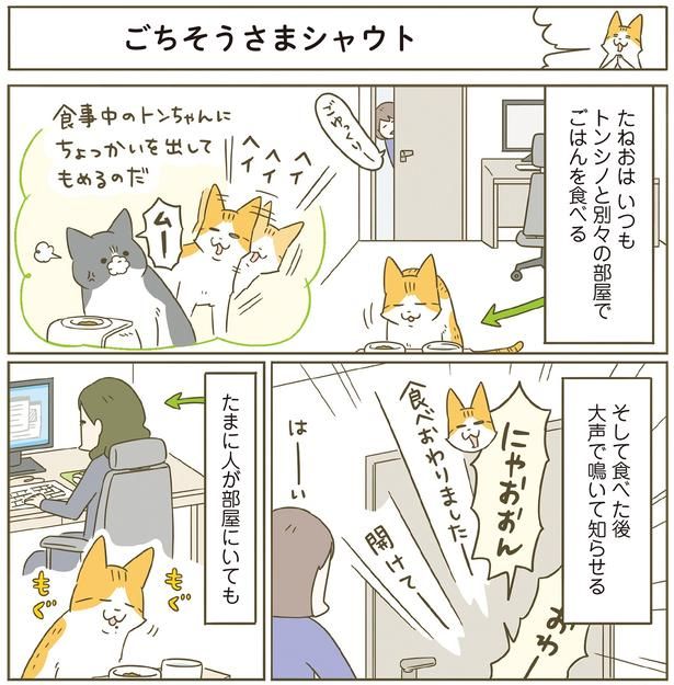 ちょっかいを出してもめるので… （C）卵山玉子／KADOKAWA