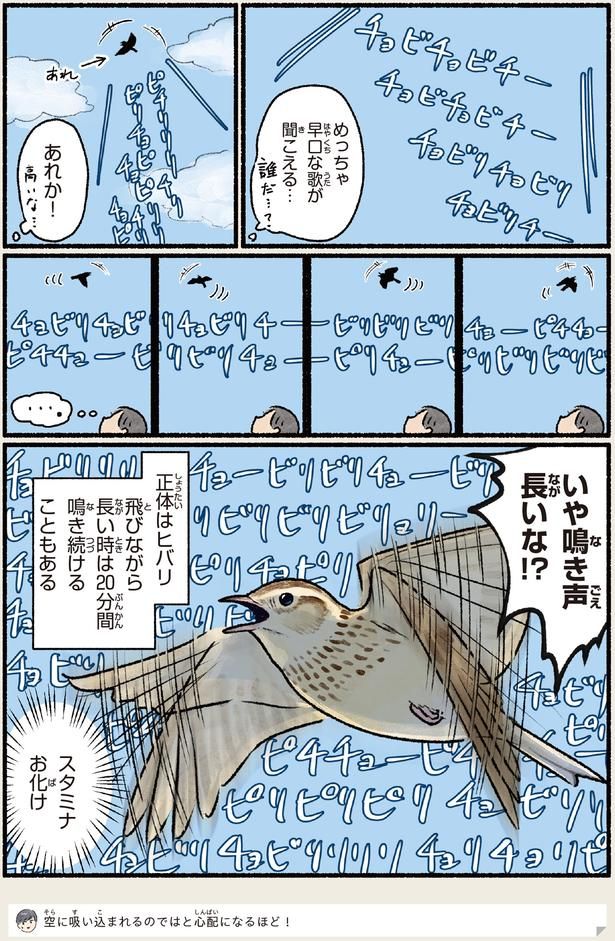 スタミナお化け （C）piro piro piccolo／KADOKAWA
