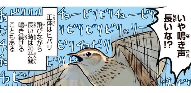 鳴き声長いな！？ （C）piro piro piccolo／KADOKAWA