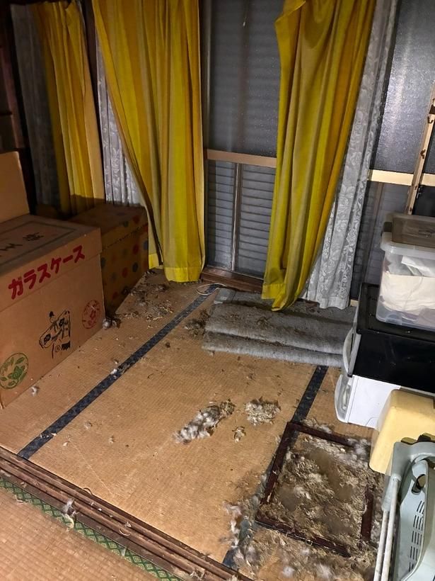 【写真】長年放置された空き家