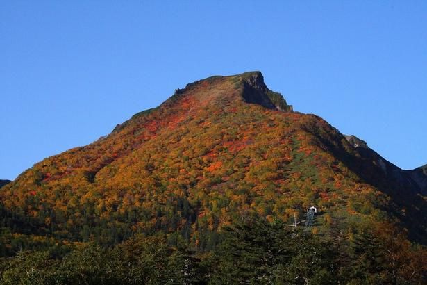 見頃を迎えそうな紅葉名所をピックアップ※写真は大雪山(黒岳)の紅葉
