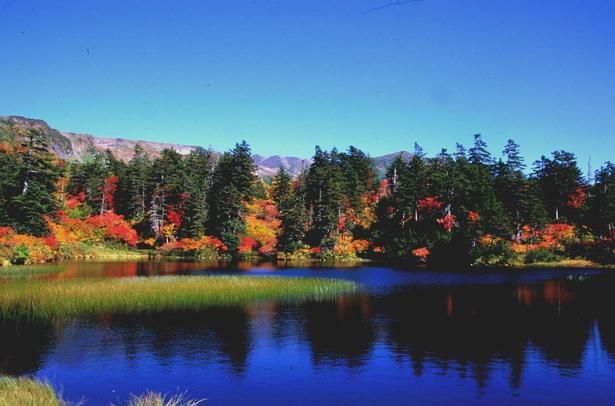 湖面に映る紅葉が美しい/大雪山(高原温泉)の紅葉 画像提供：層雲峡観光協会