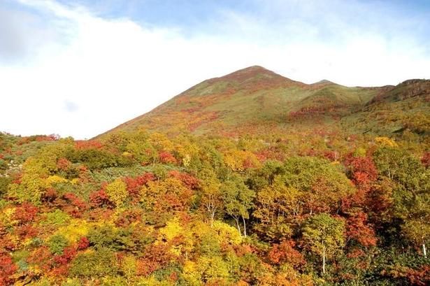 紅葉シーズンには紅葉が山々を覆いつくす/ニセコアンヌプリの紅葉 画像提供：ニセコ町商工観光課