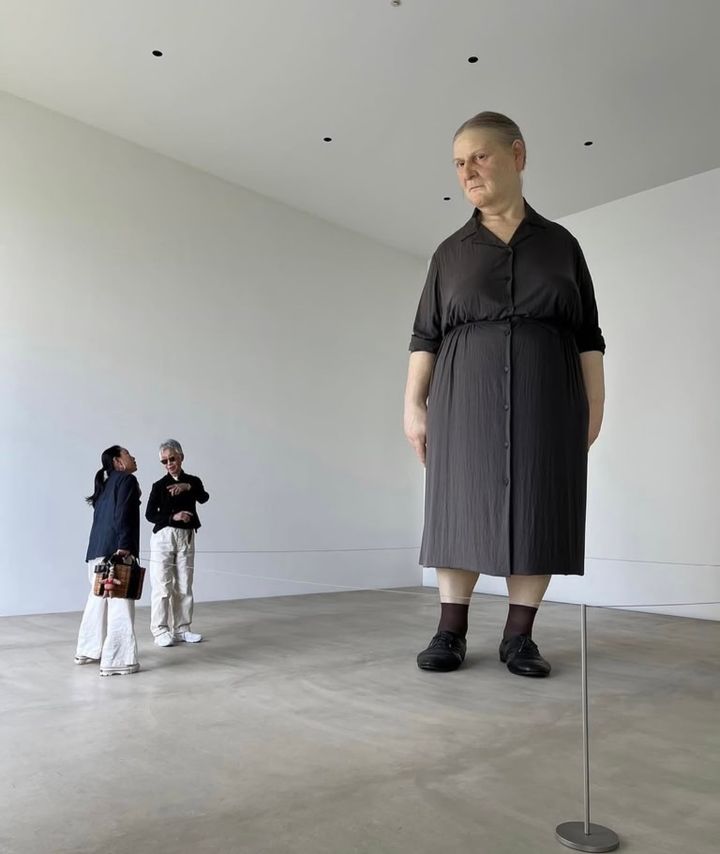 『素敵なあの人』の企画で訪れた十和田市現代美術館でルーシー・リーの作品を鑑賞する様子