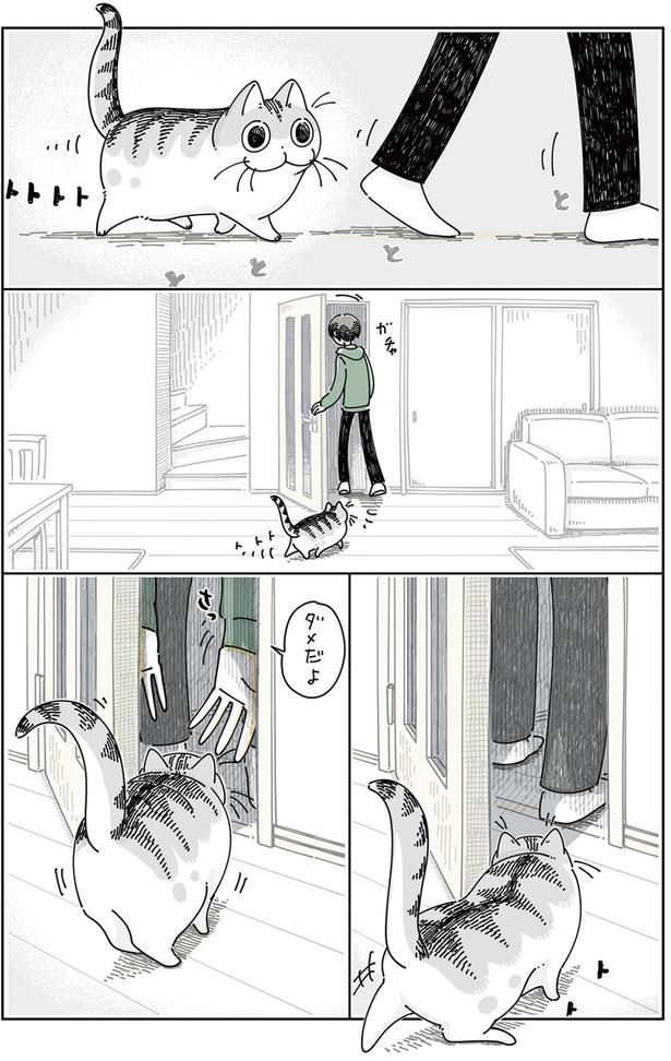 ドアをこじ開けるネコ （C）キュルZ／KADOKAWA