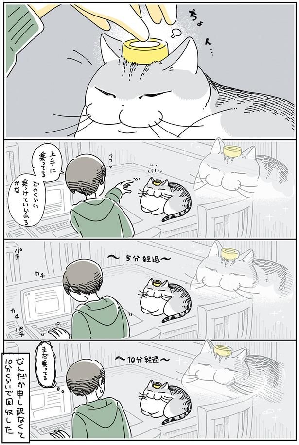 どのくらい乗っけていられるかな （C）キュルZ／KADOKAWA