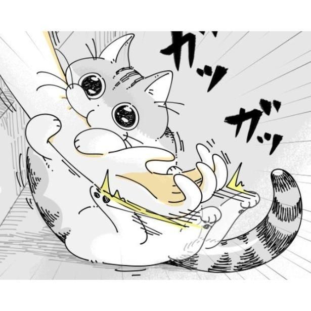 飼い主の腕をガブリと噛む猫 画像提供：キュルZ@kyuryuZ
