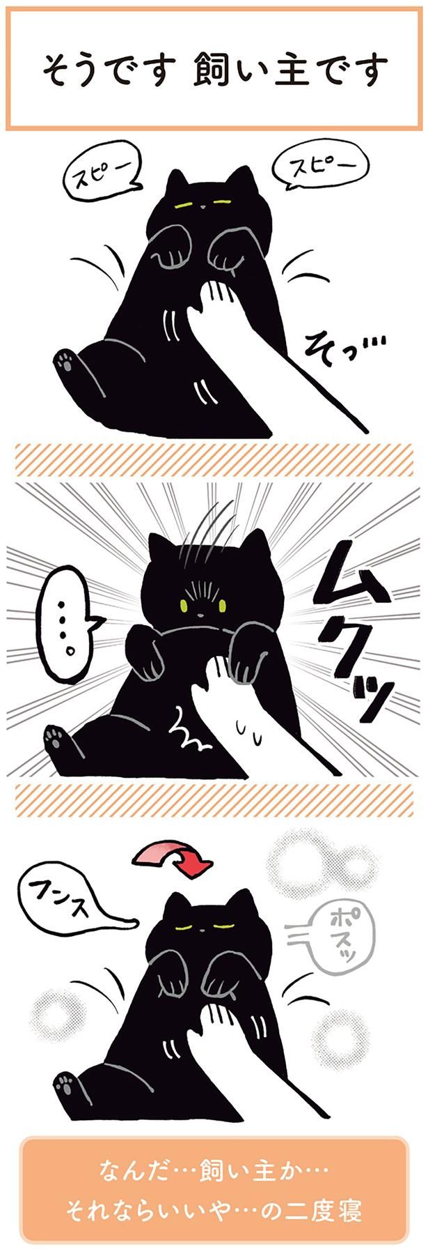 ムクッ （C）AKR／KADOKAWA