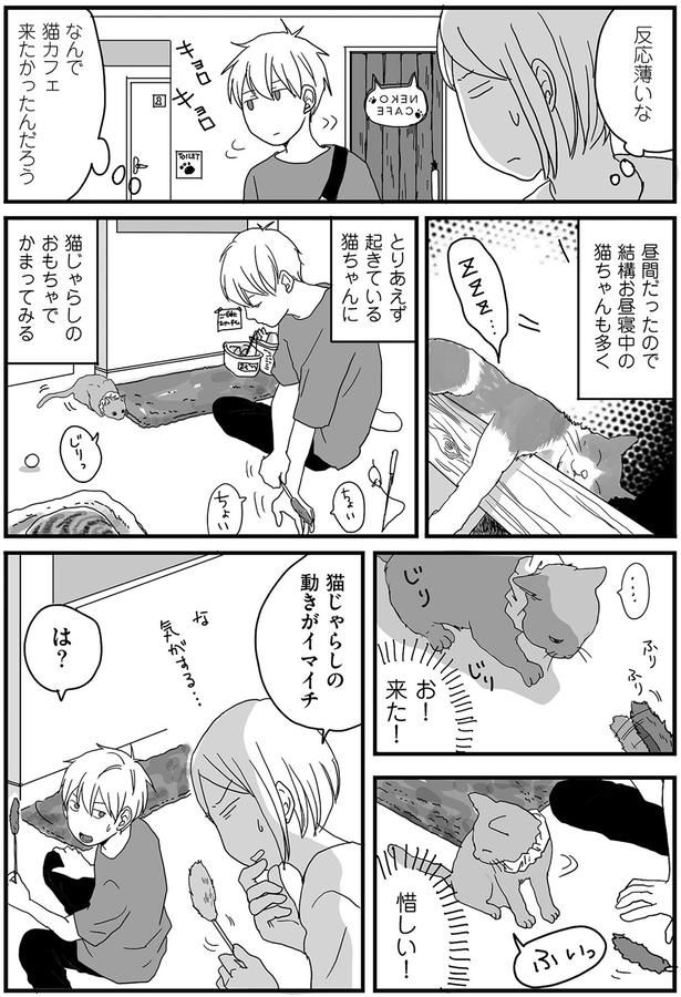 なんで猫カフェ来たかったんだろう （C）月野まる／KADOKAWA