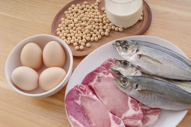 卵、大豆、魚、肉 高タンパク質な食材