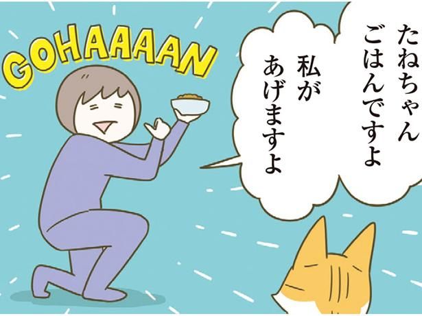 猫の愛情を受け取る作戦 （C）卵山玉子／KADOKAWA