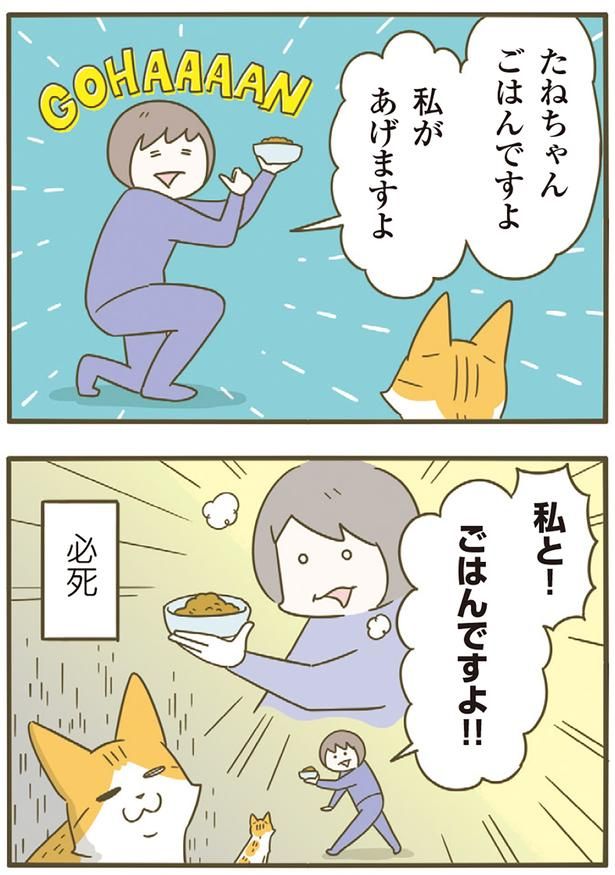 私と！ごはんですよ！！ （C）卵山玉子／KADOKAWA
