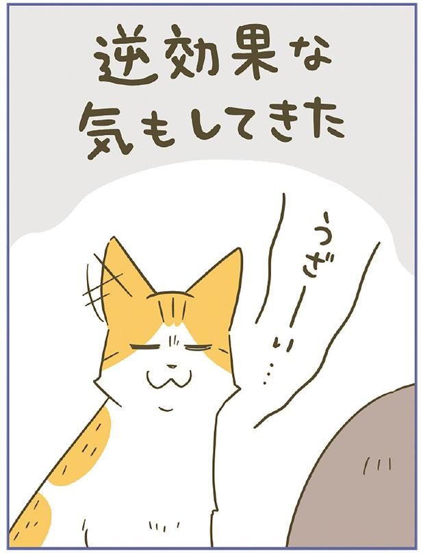 逆効果？ （C）卵山玉子／KADOKAWA