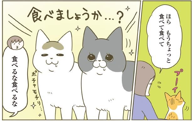 食べるな食べるな （C）卵山玉子／KADOKAWA