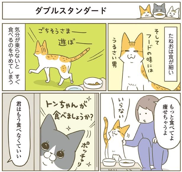 もっと食べてよ （C）卵山玉子／KADOKAWA