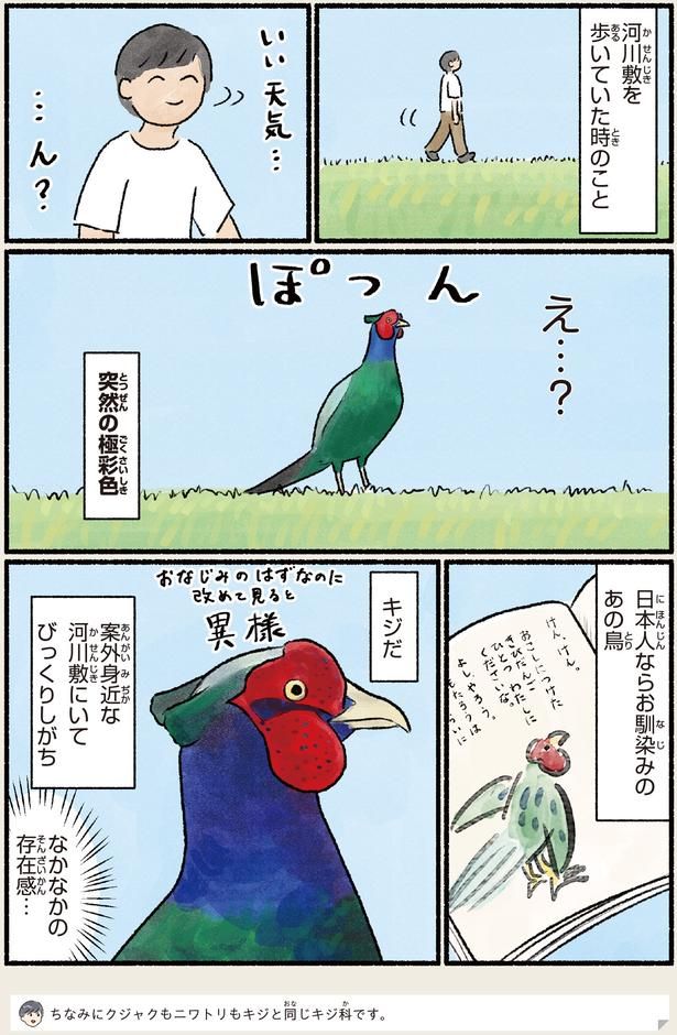 突然の極彩色 （C）piro piro piccolo／KADOKAWA