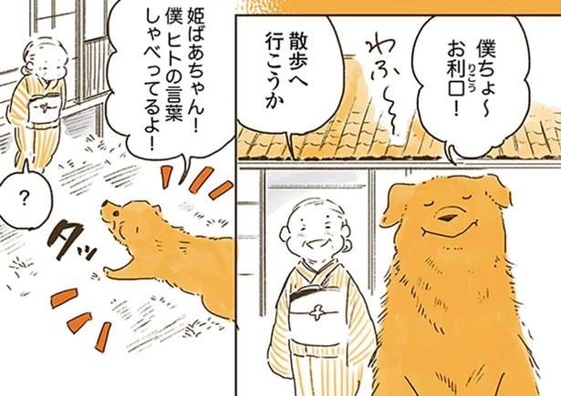 僕ヒトの言葉しゃべってるよ！ （C）佐倉イサミ／KADOKAWA