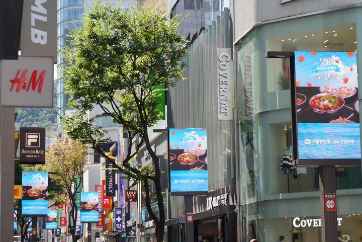 第一次韓流ブームから20年以上が経ち、明洞の街もすっかり様変わりしました。最近ではデジタルサイネージが増え、街は以前にも増して華やかな印象に。けれど、その一方で、昔の明洞で感じた韓国らしさが少しずつ薄れてきたようにも感じ、どこか寂しい気持ちになりました。