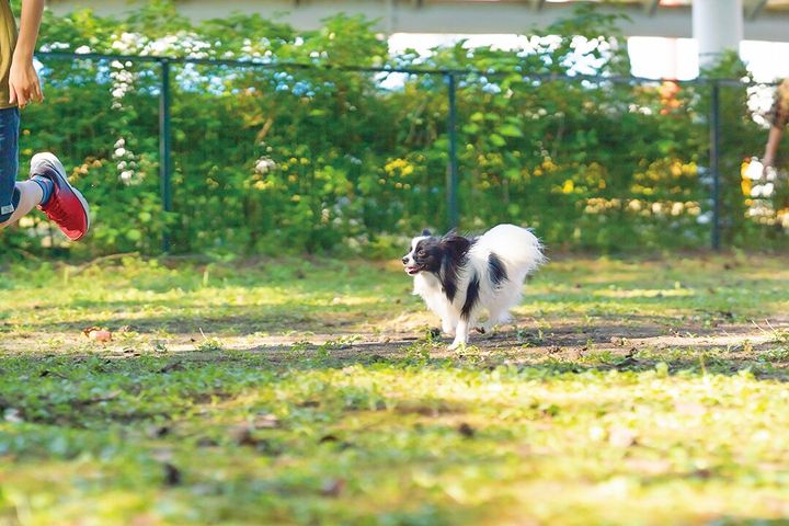 那須ハイランドパーク