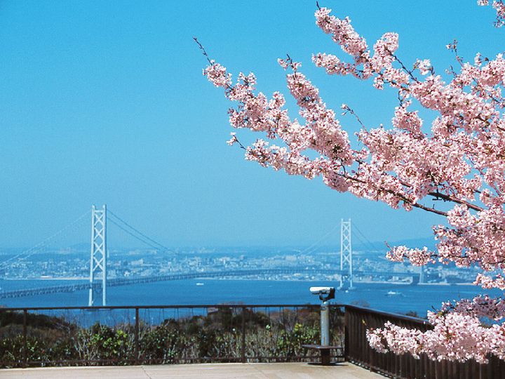 兵庫県立淡路島公園の展望広場