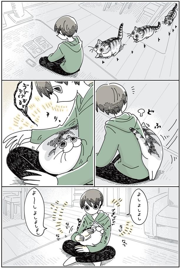 なでたところを気にするネコ （C）キュルZ／KADOKAWA
