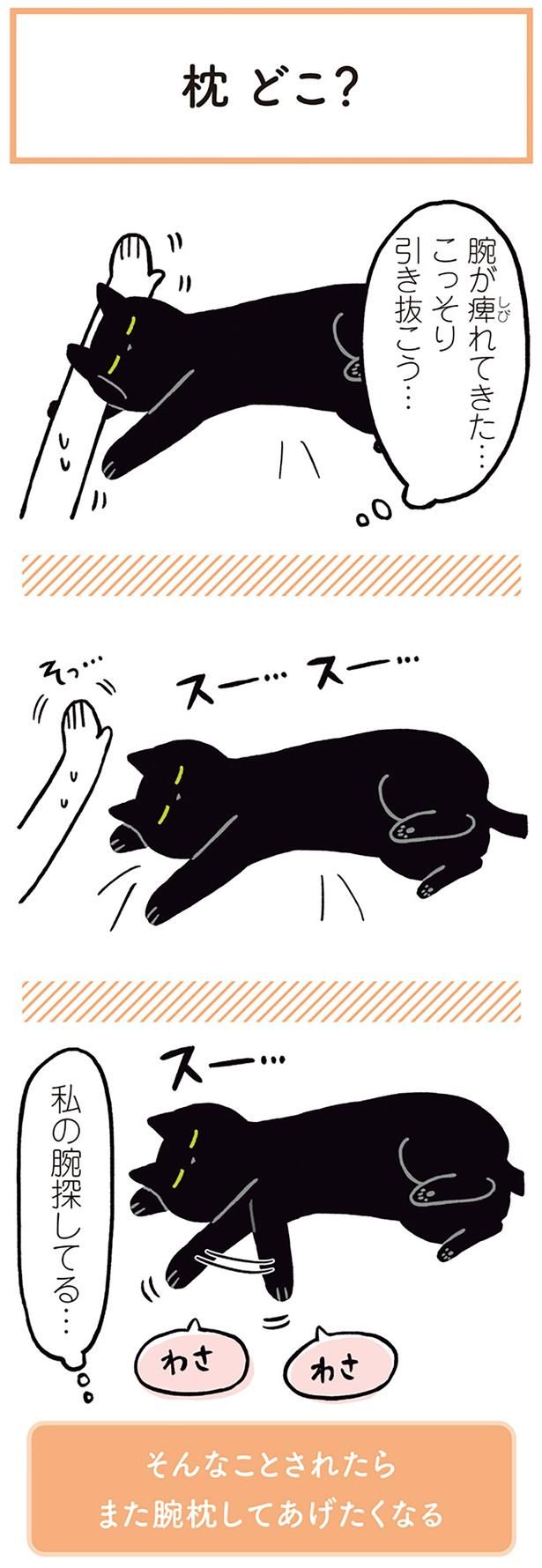 私の腕探してる… （C）AKR／KADOKAWA