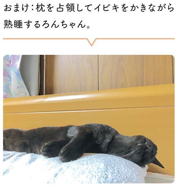 おまけ：枕を占領してイビキをかきながら熟睡するろんちゃん （C）AKR／KADOKAWA