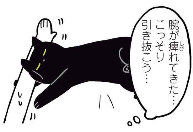 こっそり引き抜こう… （C）AKR／KADOKAWA