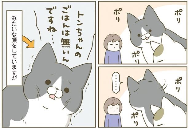 ご飯をもらえない顔しているけれど （C）卵山玉子／KADOKAWA