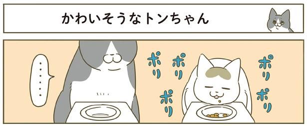 ポリポリ （C）卵山玉子／KADOKAWA