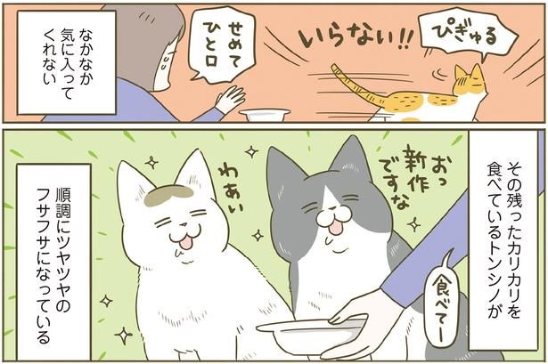 順調にツヤツヤのフサフサに （C）卵山玉子／KADOKAWA