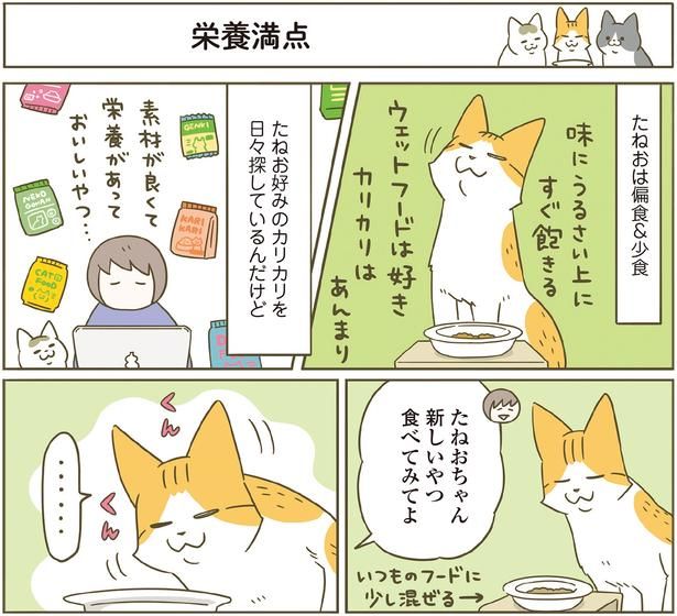 新しいおやつ食べてみてよ （C）卵山玉子／KADOKAWA