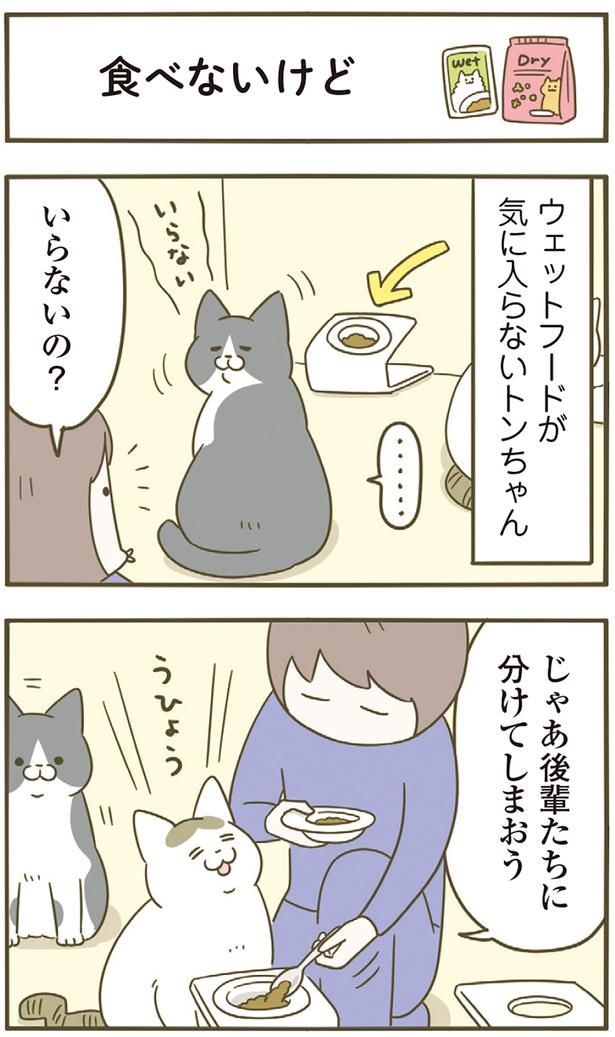 いらないの？ （C）卵山玉子／KADOKAWA