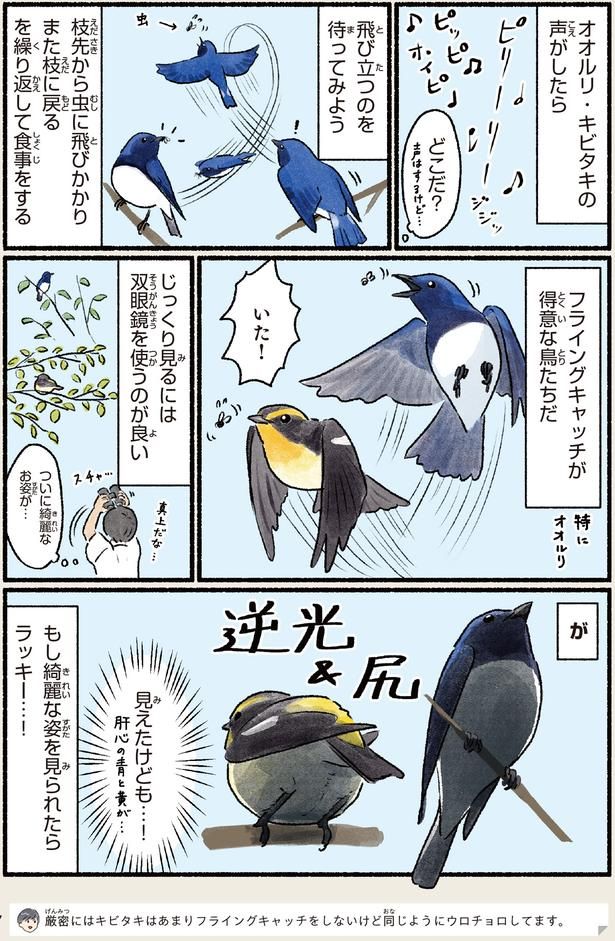 ついに綺麗なお姿が… （C）piro piro piccolo／KADOKAWA