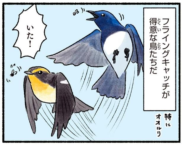フライングキャッチが得意な鳥たちだ （C）piro piro piccolo／KADOKAWA