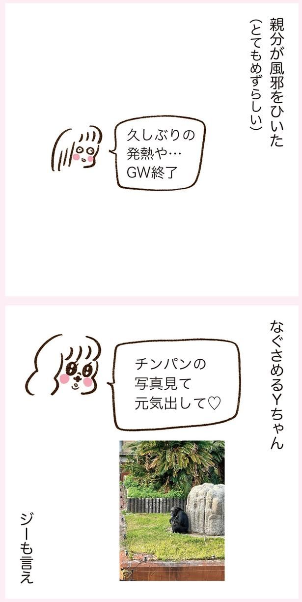チンパンの写真見て元気出して （C）やまもとりえ／KADOKAWA