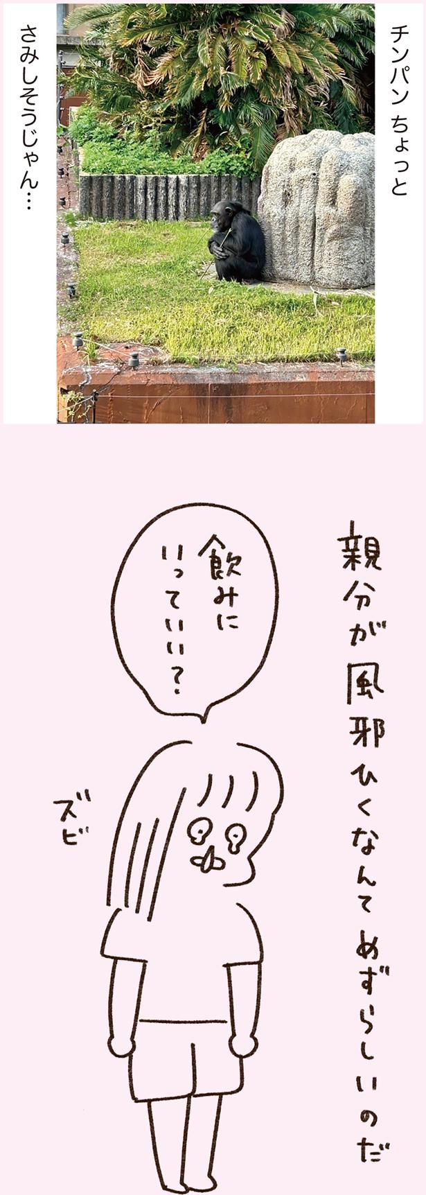 チンパンちょっとさみしそうじゃん… （C）やまもとりえ／KADOKAWA