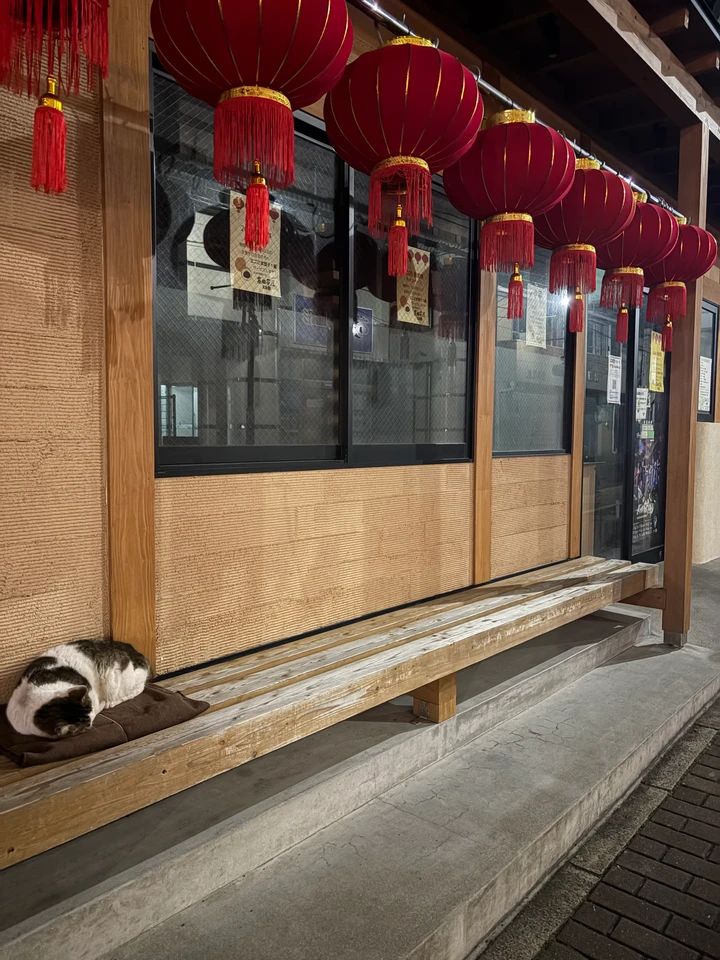 長崎の猫ちゃんは尻尾がカギ？出島貿易から続く歴史のお話🐱_5