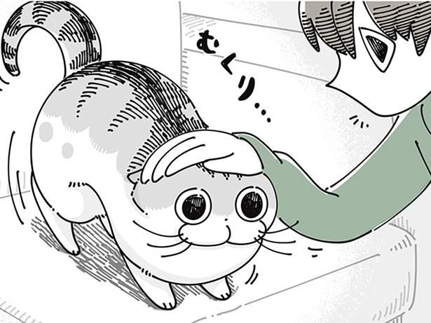 なでなでしてると （C）キュルZ／KADOKAWA