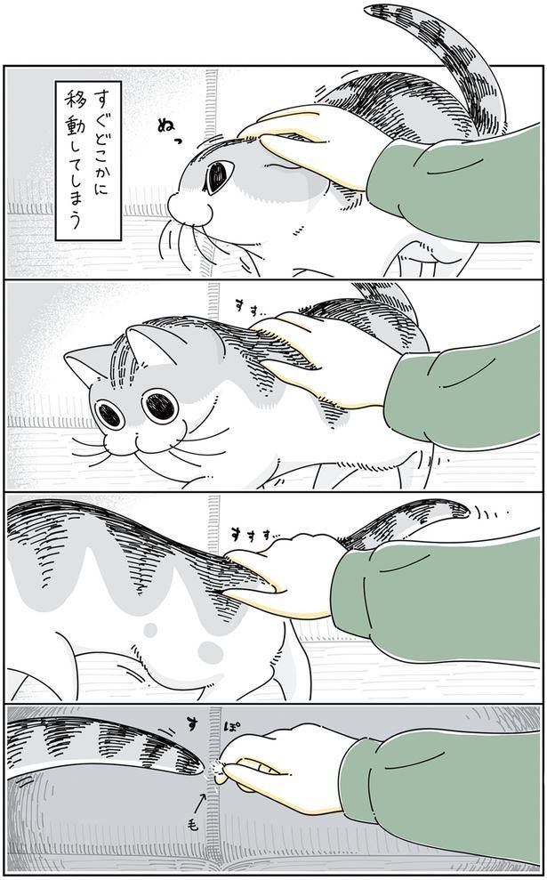 すぐどこかに移動してしまうけど… （C）キュルZ／KADOKAWA