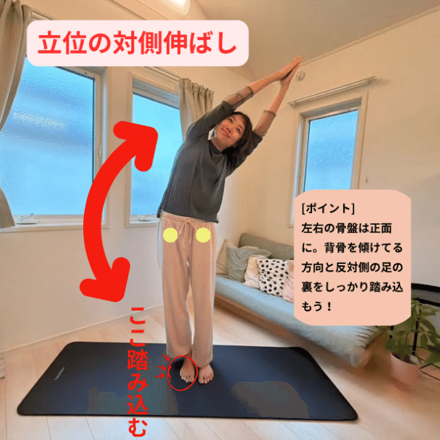 立位の体側伸ばし